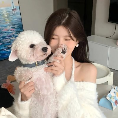 双姝夺婿